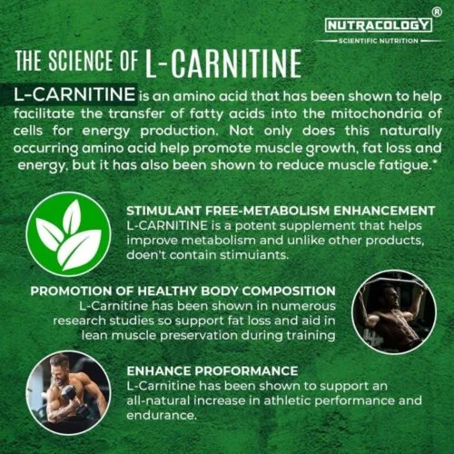 L Carnitine