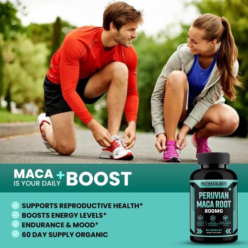 Peruvian Maca Root Extract 800Mg Capsule